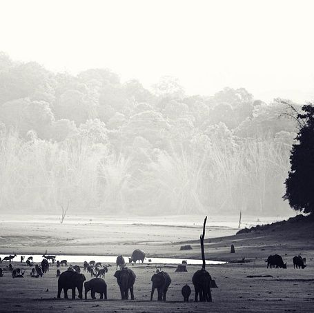 1Kabini VinothChandar