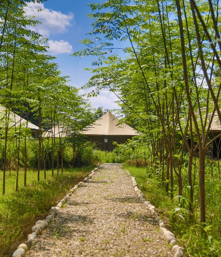 A serene pathway lined with stones leads through lush greenery to charming cottages - Claridges Collection