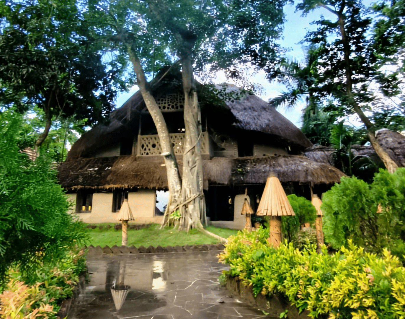 A view of a thatched-roof building surrounded by a flowering tree and lush foliage at the Vedic Village Spa Resort.