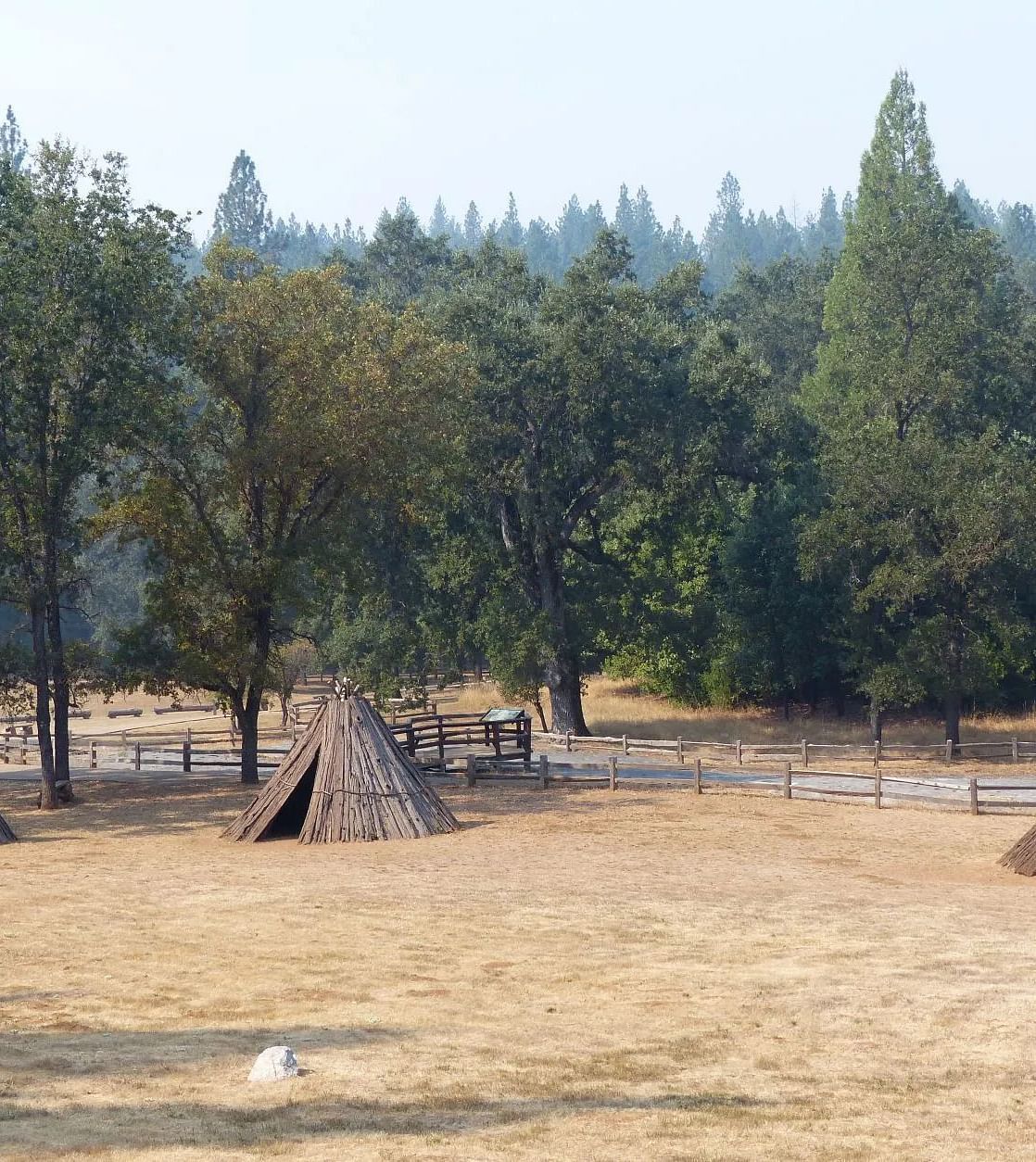 A view of tents in an open space in the forest on a clear day - Amador Hotel.