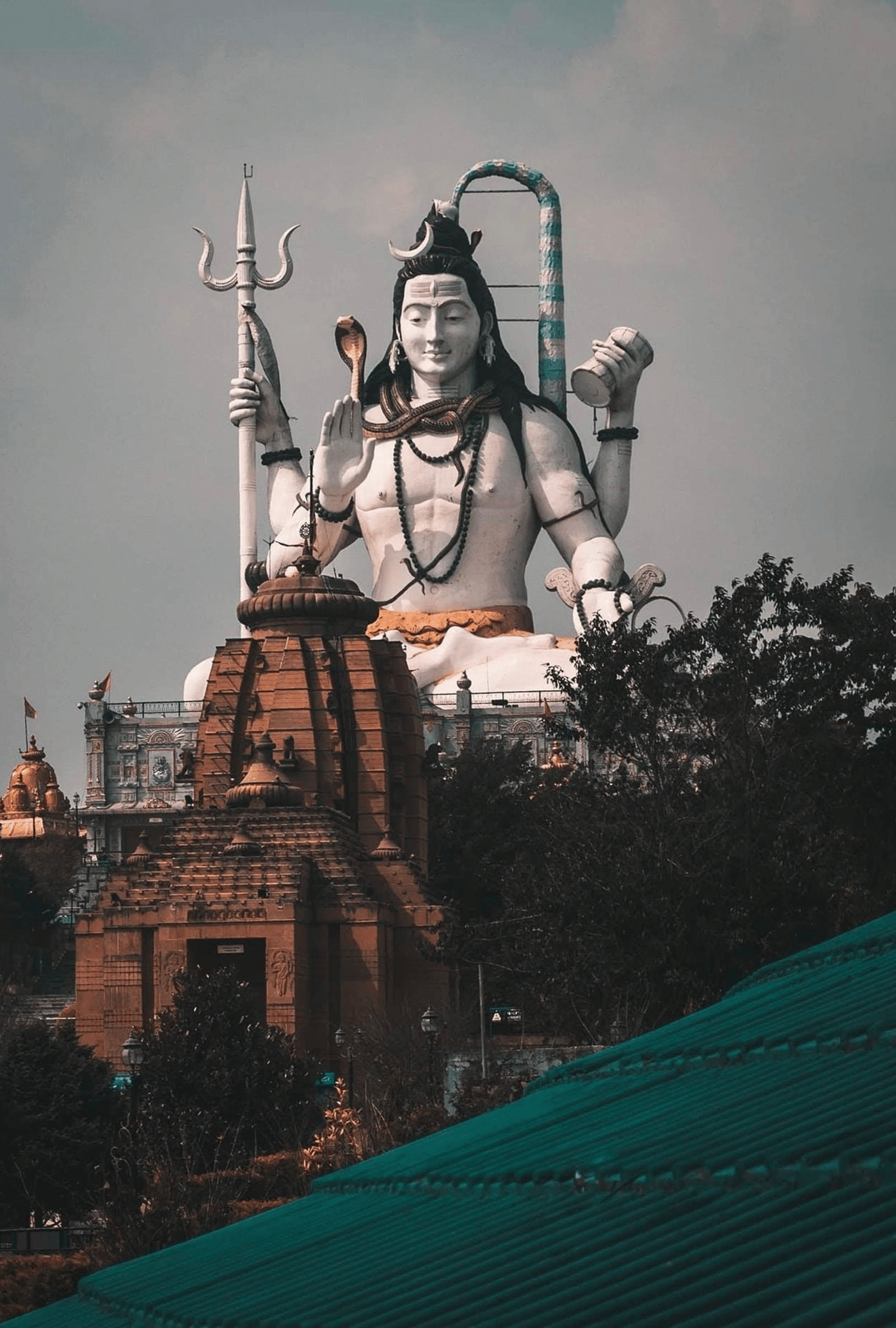 pexels-roopsarkar-11354923