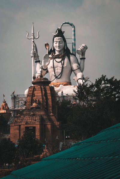 pexels-roopsarkar-11354923
