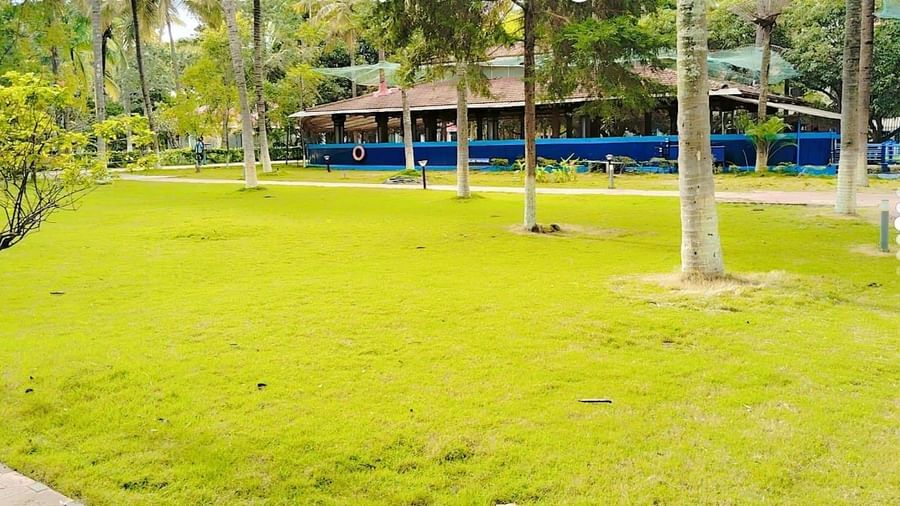 Expansive green lawn surrounded by trees, ideal for events at Fantasy Golf Resort.