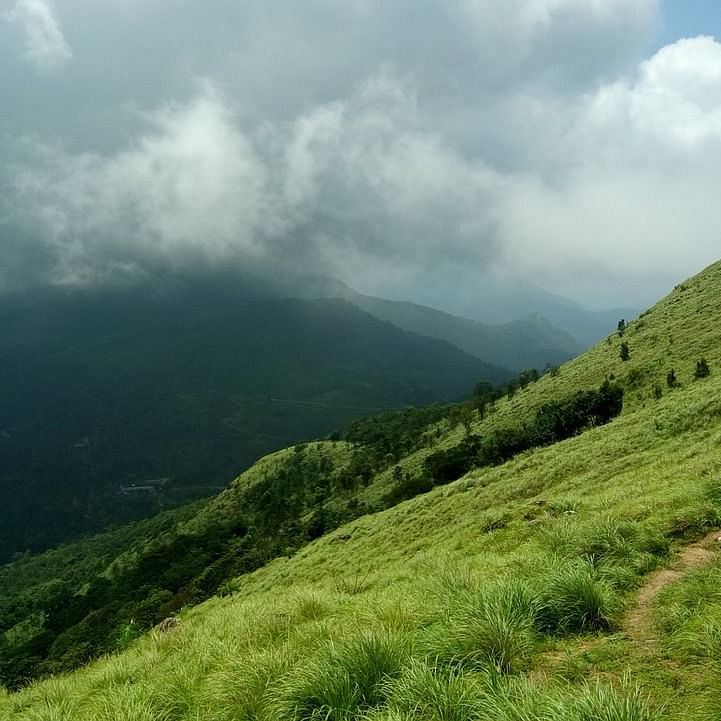 A lush green hillside in Wayanad, Kerala, with a narrow trekking path leading into mist-covered mountains under a cloudy sky.