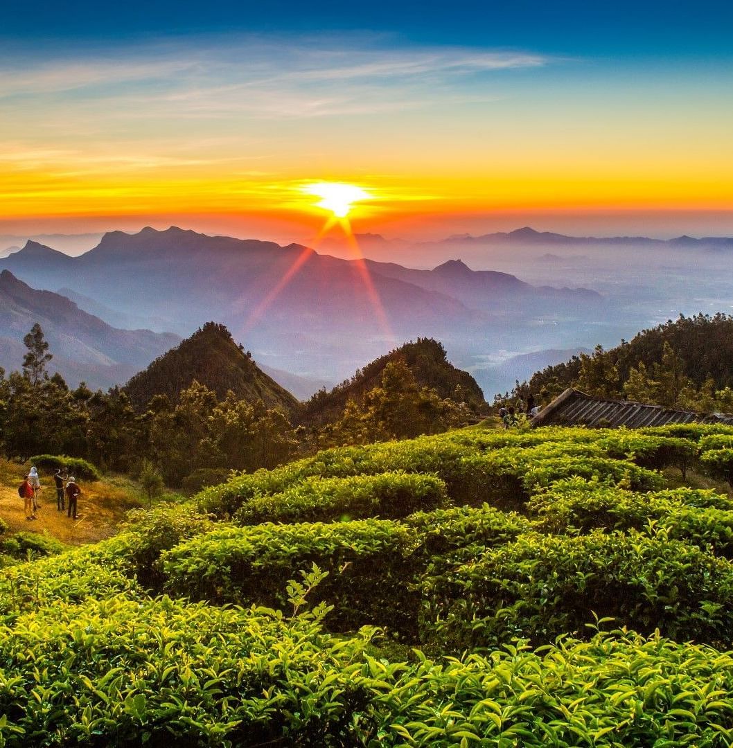 kurseong ulcmdv