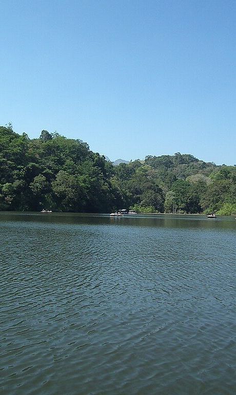 Image of a lake surrounded by trees and calm waters