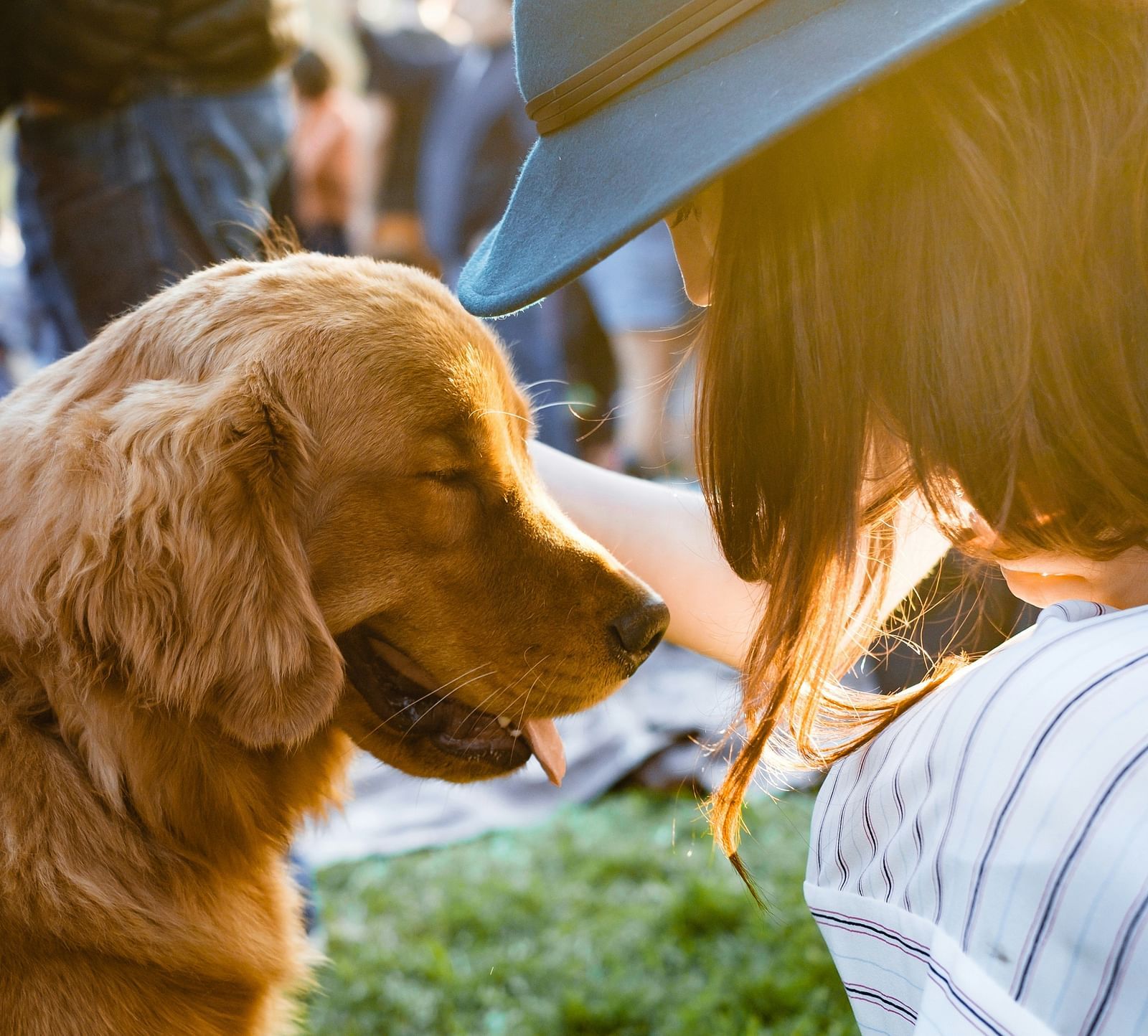 A person wearing a blue hat pets a golden retriever dog with its eyes closed in a grassy area.