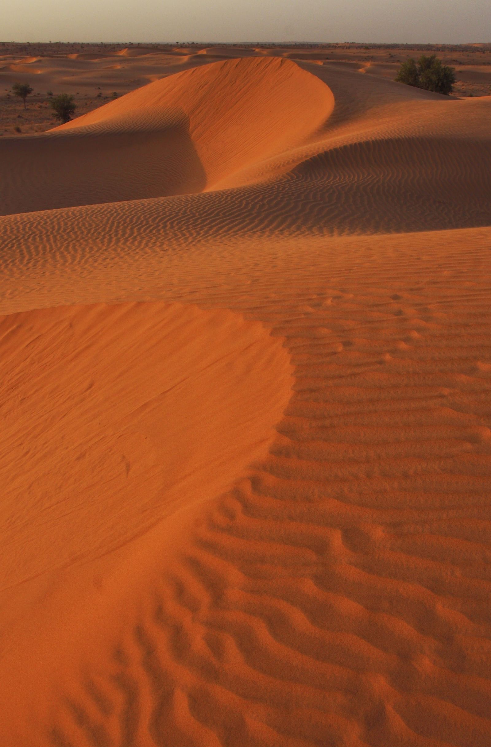 Sand dunes during the day - 2