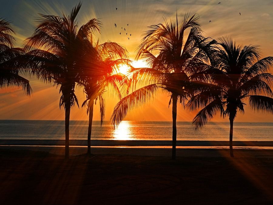beach,  chariot beach resort