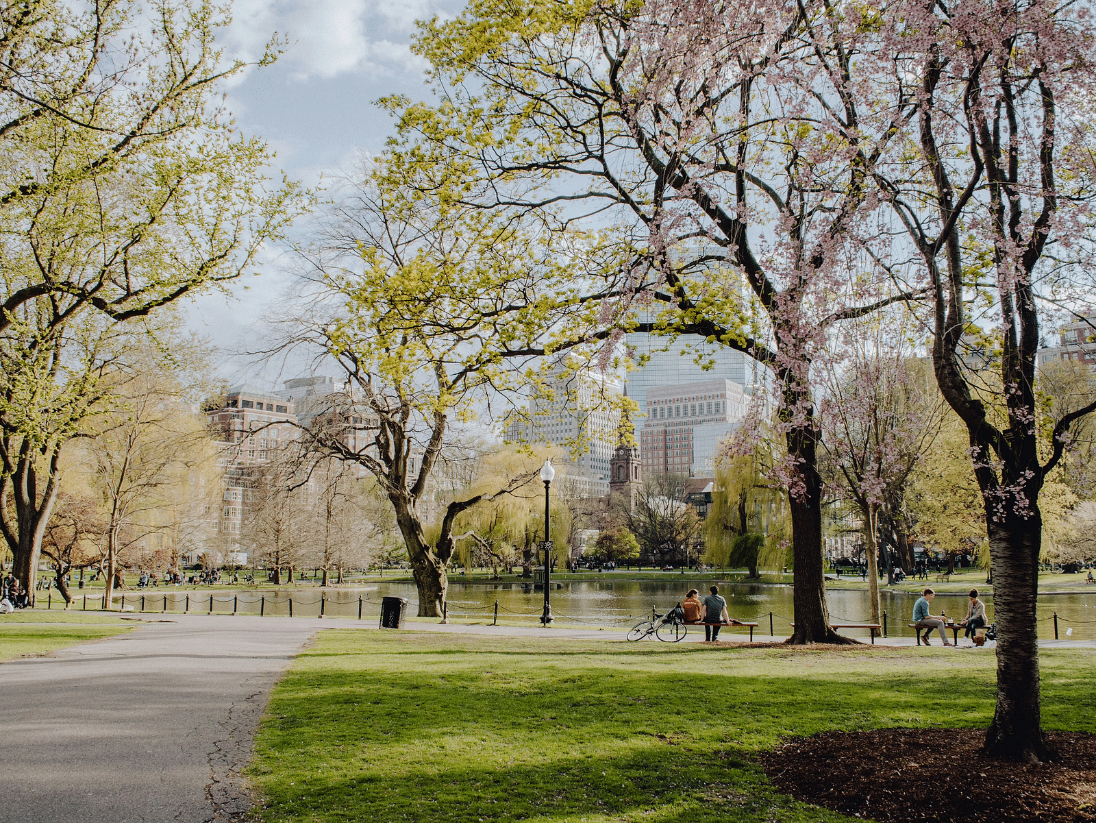 Tree-lined pathway in a park during early spring