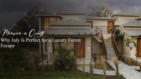 Monsoon in Corbett Why July Is Perfect for a Luxury Forest Escape