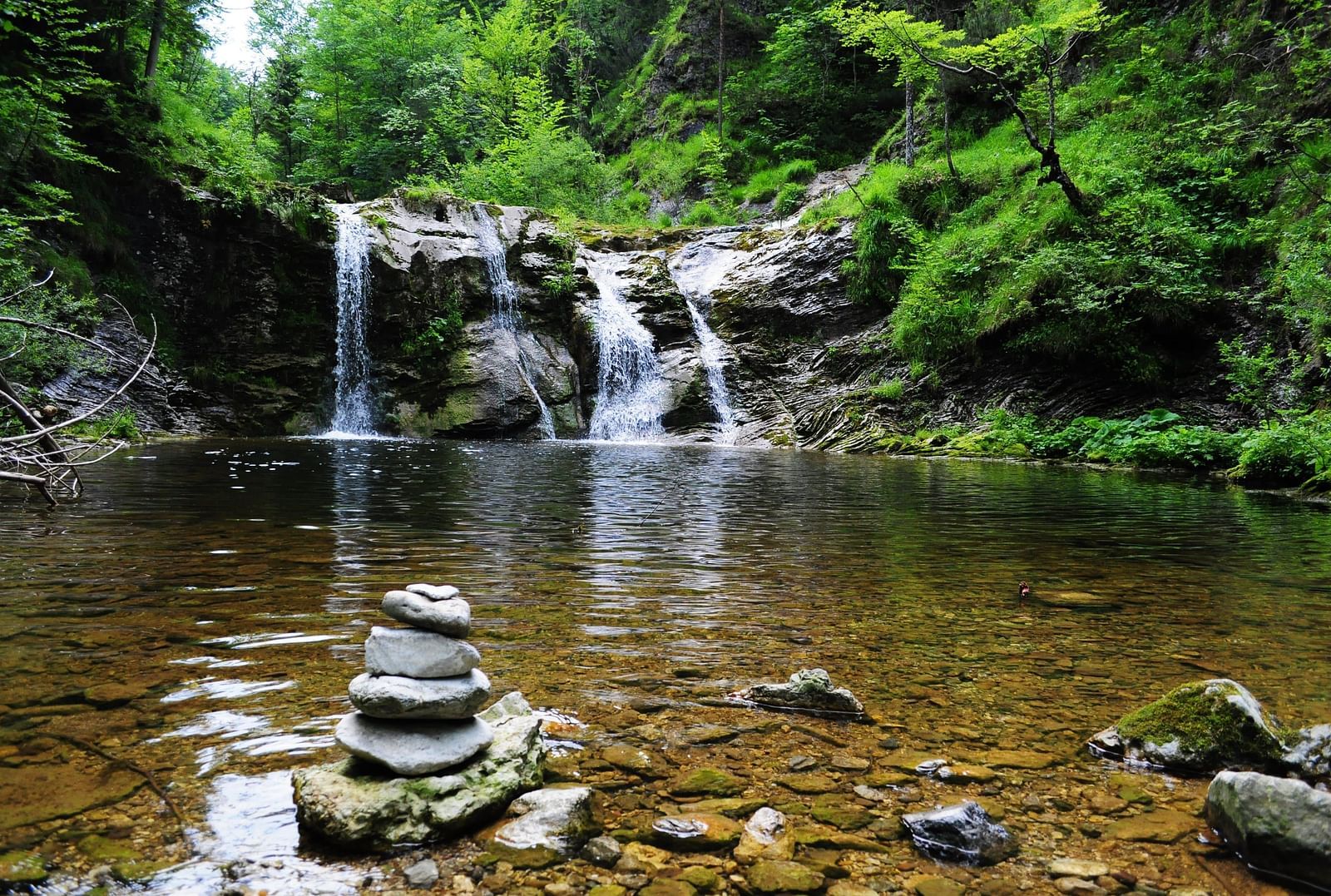 A waterfall surrounded by lush green trees.