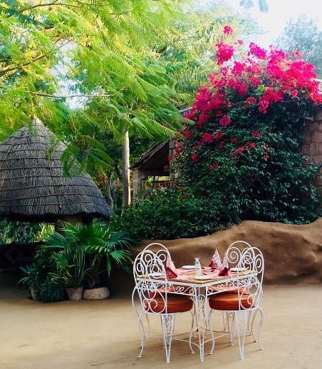 An image of the outdoor dining arrangement with a tree with pink flower and greenery in the background - MANVAR Resort & Desert Camp