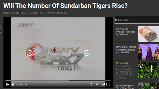 Will the number of sunderban tigers rise
