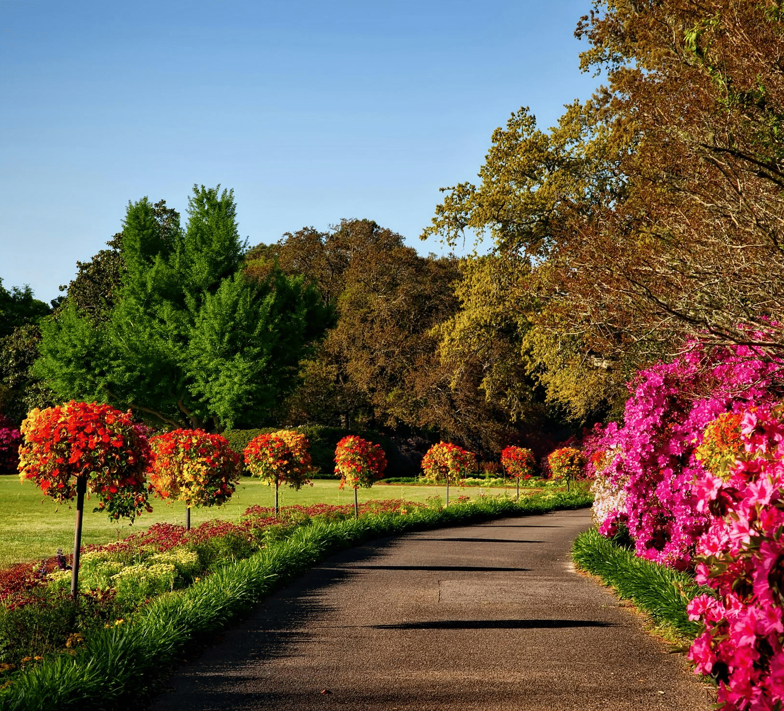A winding paved path through a lush park, bordered by vibrant pink and orange flowering shrubs.