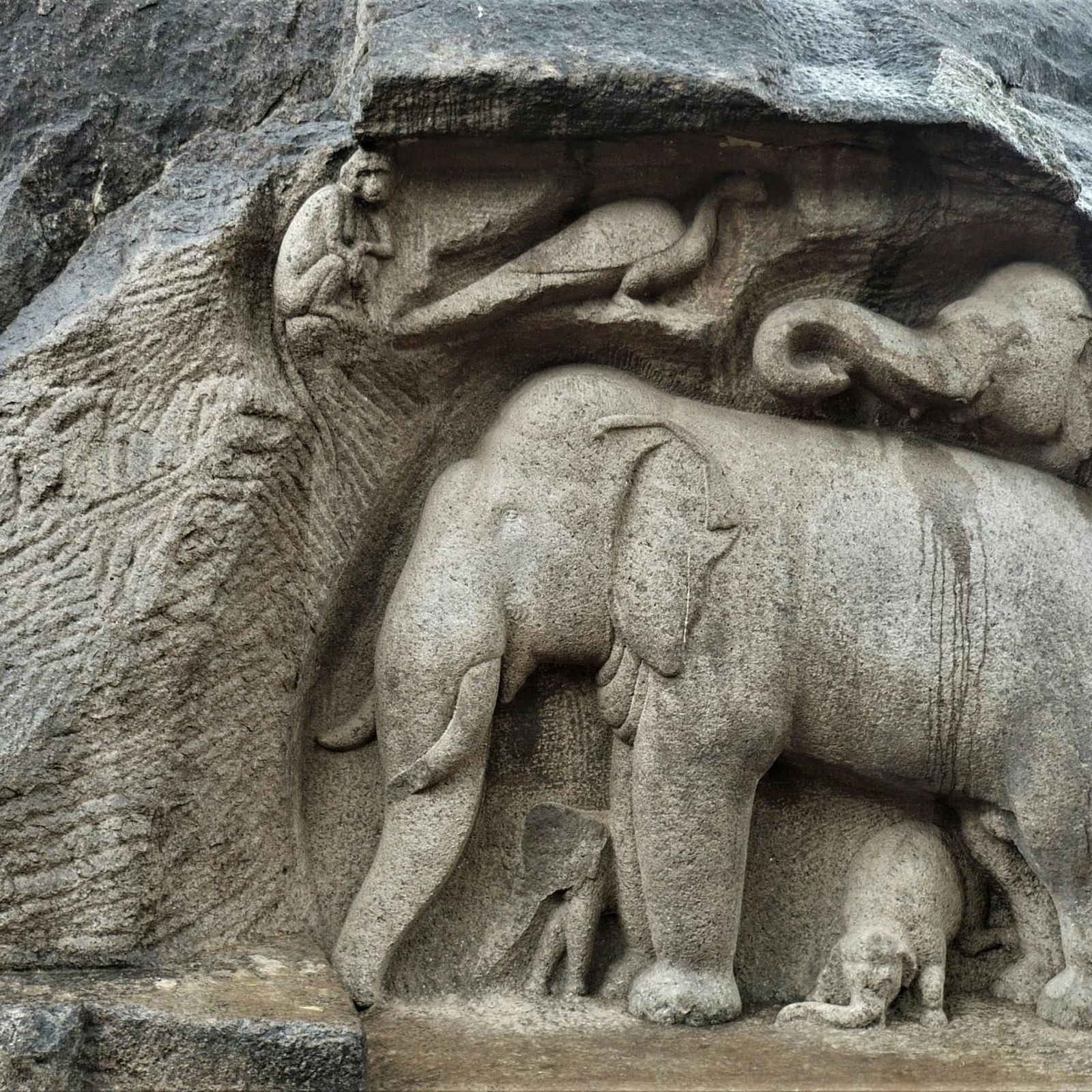 A close-up of a large, detailed rock carving of a mother elephant and her calf, possibly part of a larger ancient relief.