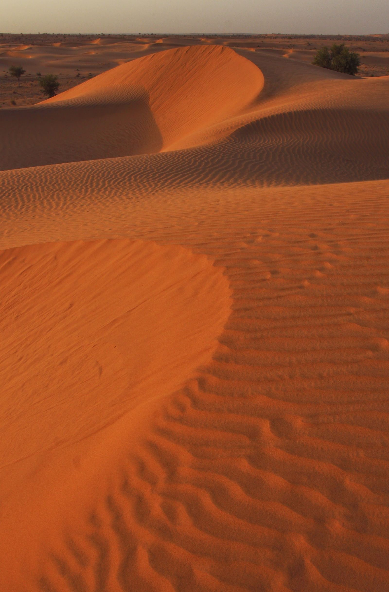 Sand dunes during the day - 2