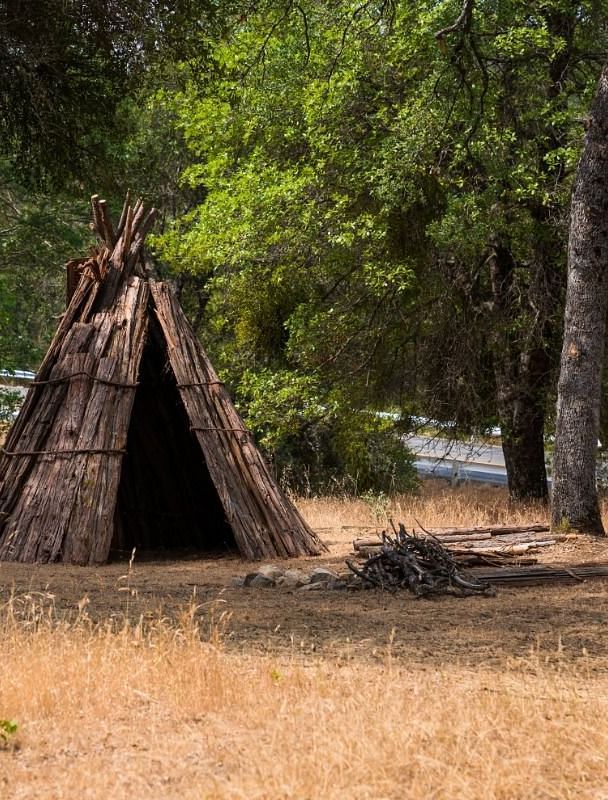 a tepee in a clearing in a forest, surrounded by timber.