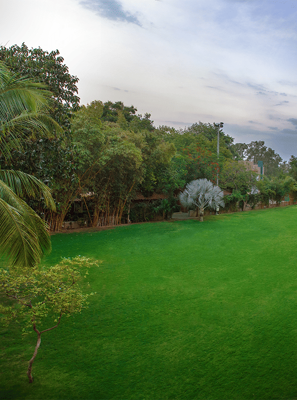 Green garden lawn with tropical trees – Narayani Heights Hotel & Resorts