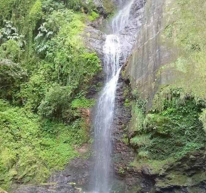 chadwick falls at shimla