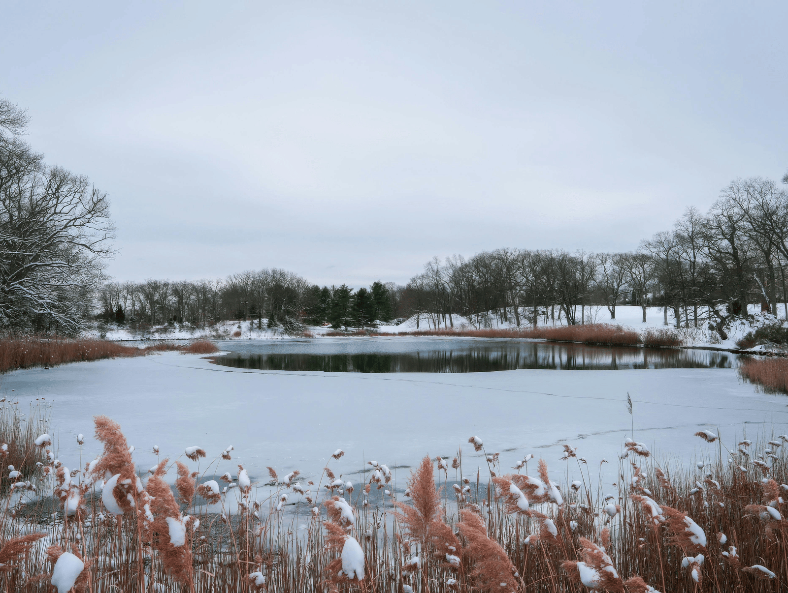 pexels-cara-denison-886614634-35415374