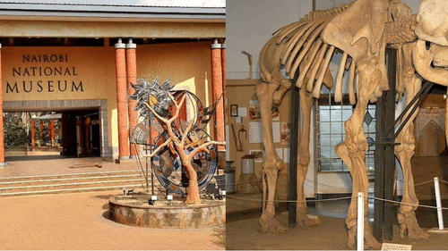 The main entrance of The Nairobi National Museum and a skeleton of a mammoth.