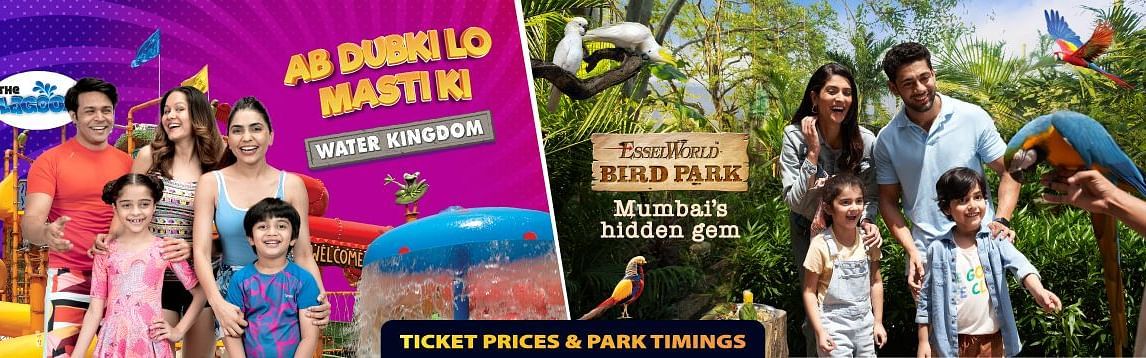 Ticket-Price