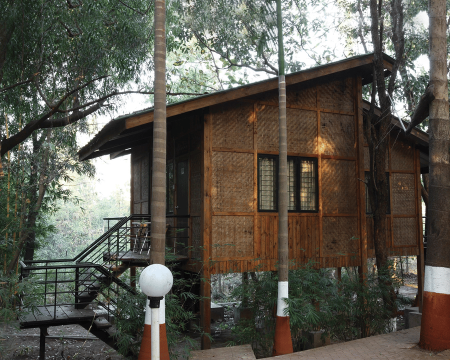 Exterior of a tree house at Nature Trails Sajan with trees surrounding it and stairs leading up to its entrance.