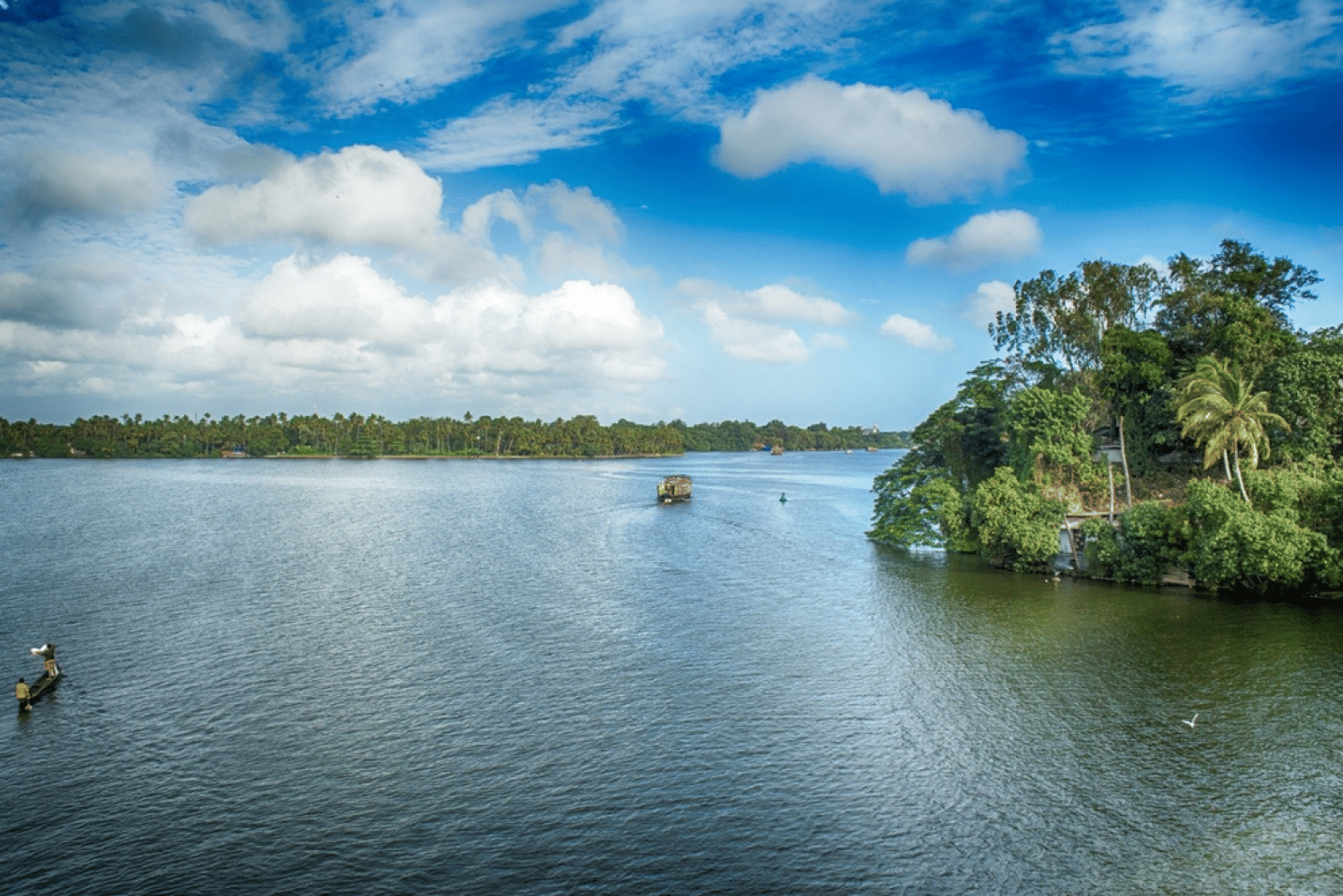 ashtamudi lake