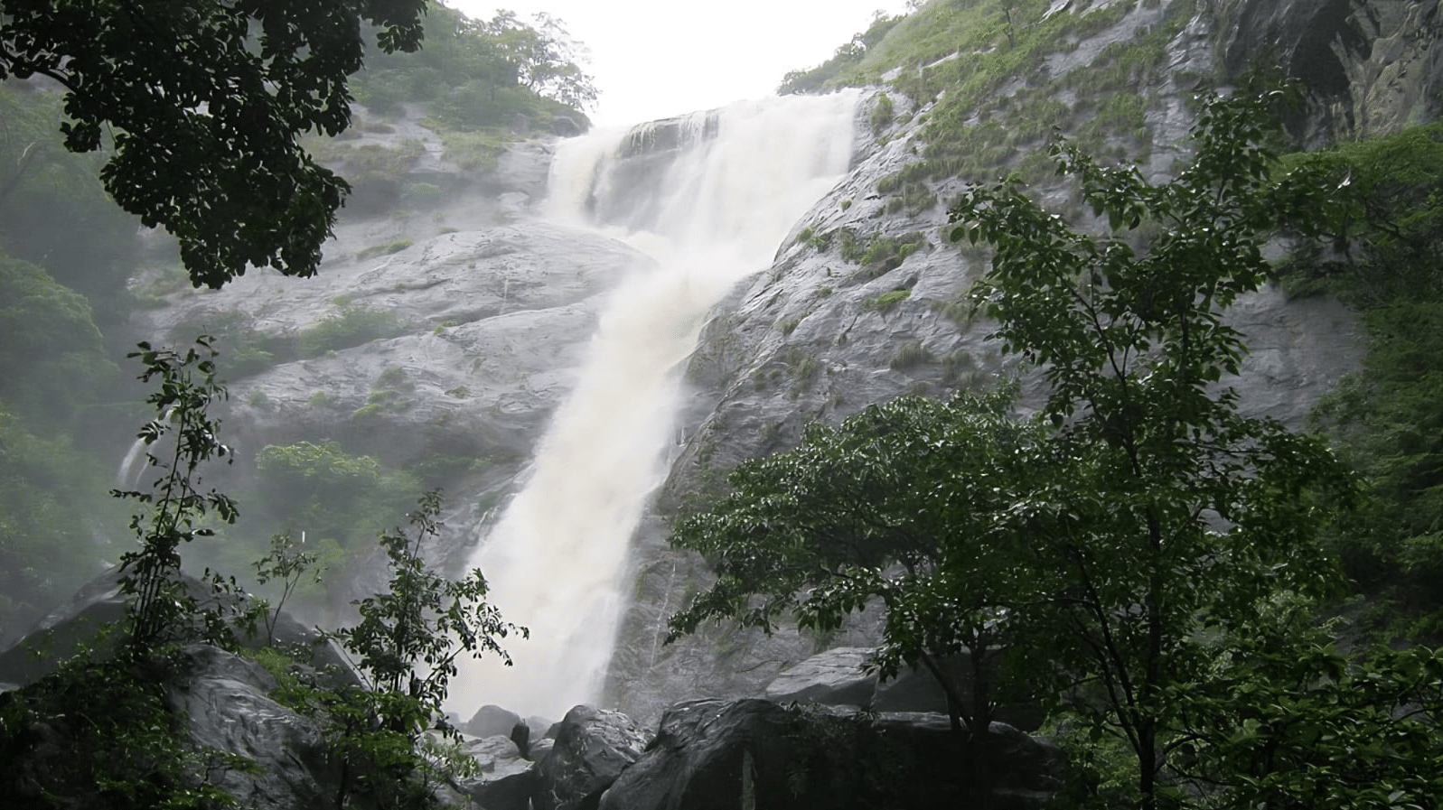 A powerful white waterfall cascading down a sheer grey rock face, seen through dense, dark green foliage.