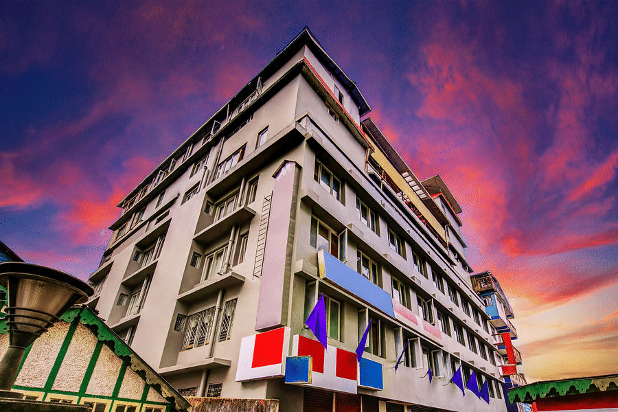 alt-text Conifer facade sky edit