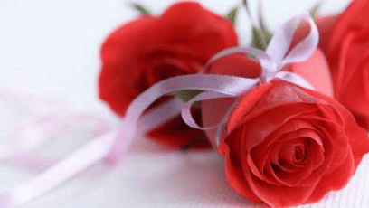 A close-up shot of three red roses tied with a pink ribbon.