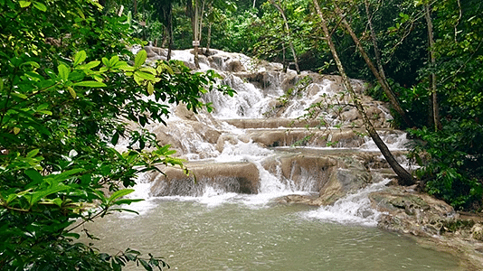 A cascading waterfall surrounded by dense green forest - S Hotel Kingston, Jamaica