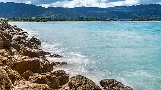 A rocky shoreline with turquoise waters stretching towards distant hills - S Hotel Kingston, Jamaica
