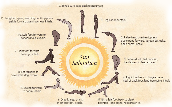 A diagram illustrating the 12 poses and steps of the 'Sun Salutation' (Surya Namaskar) yoga routine, arranged in a circular flow.