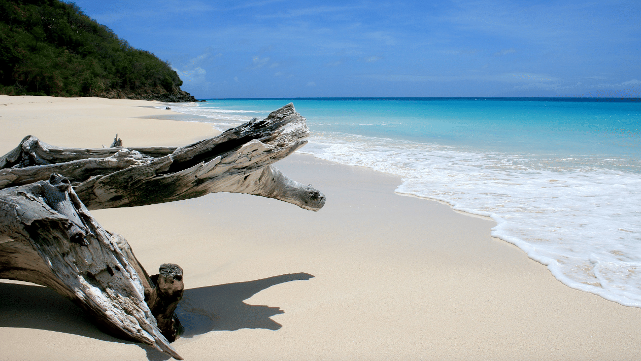 A beach near Tamarind Hills Resort and Villas, Antigua, with soft sands, waves, and driftwood resting near the shoreline.