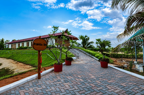 Pathway leading to the spa area lined with palm trees and decorative pots at Chariot Beach Resort, offering a serene and inviting approach.