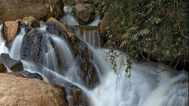 A small waterfall cascading over rocks in a tranquil forest setting, surrounded by trees and vegetation.