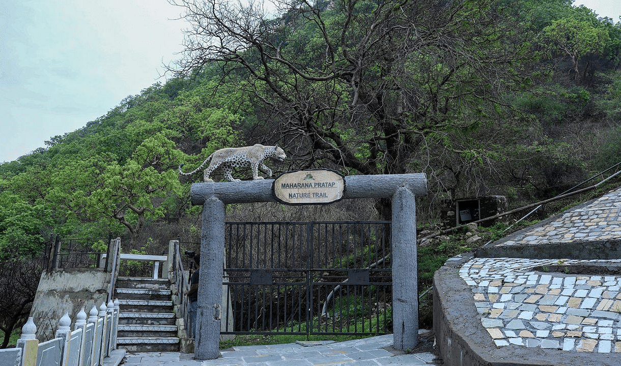 An entrance gate with a sculpture of a snow leopard on top.