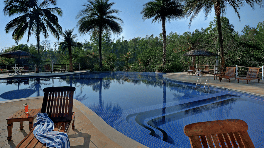 Outdoor resort pool surrounded by palm trees at Evolve Back Coorg