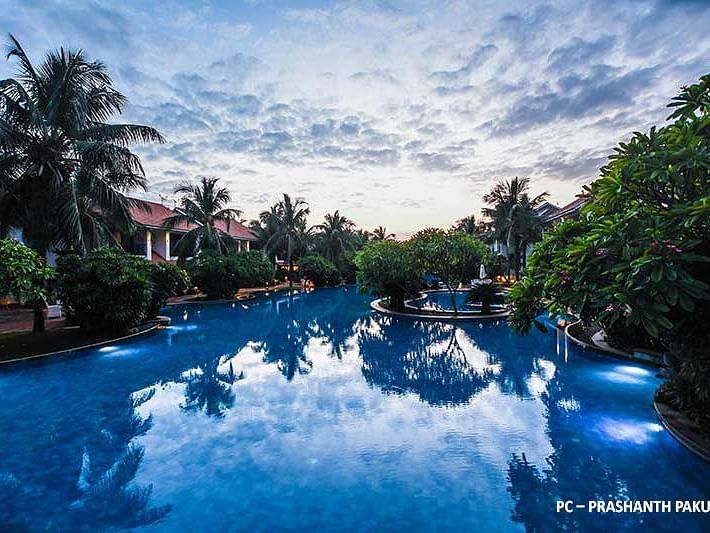 A view of the swimming pool surrounded by coconut trees and a cloudy sky in the background.