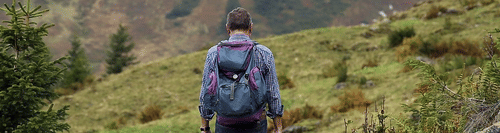 wanderer RS Sarovar  Portico, Palampur Resorts