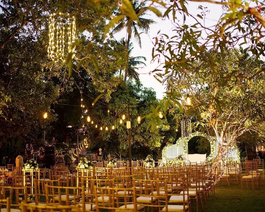 Wedding 6