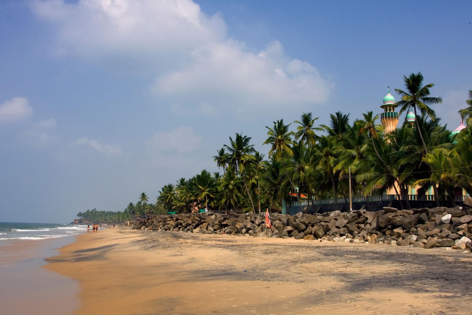 an overview of a beach with coconut trees on the side and waves lapping the shoreline.