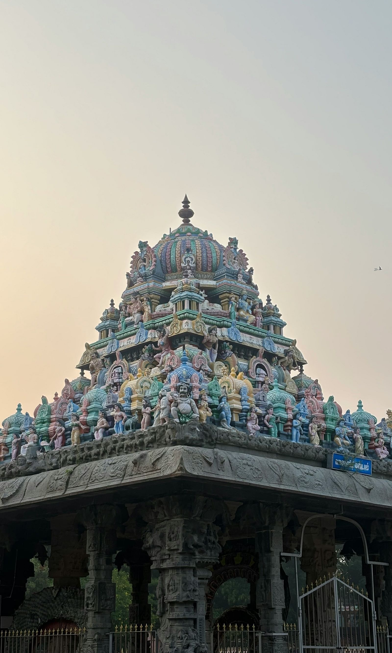 krishna-geethika-3VcpjmDHZVY-unsplash