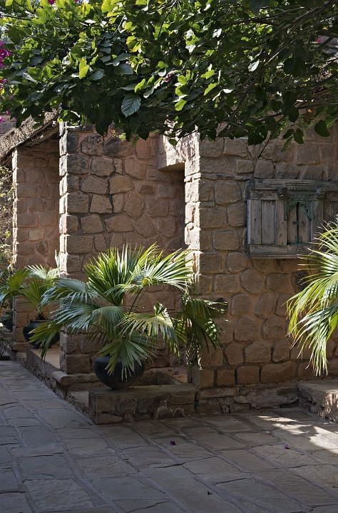 A image of a pathway with lush greenery on both sides