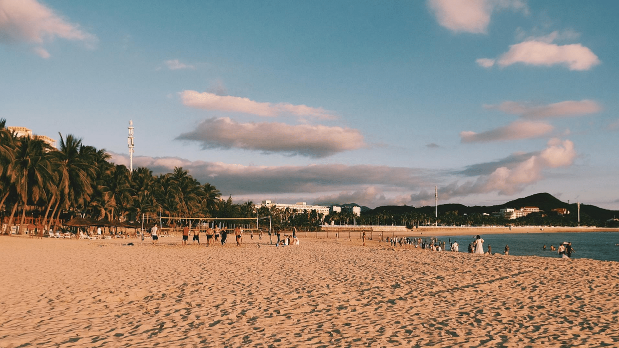Image of a beach with trees in the background