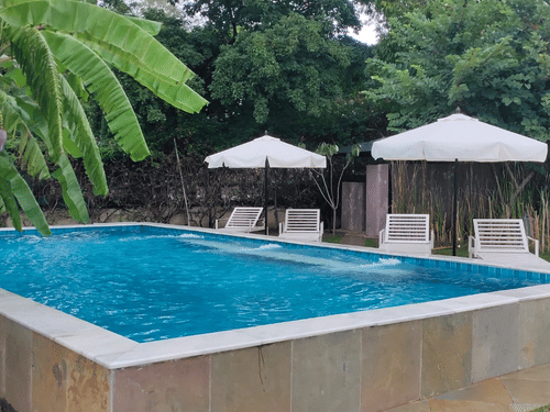 Elevated swimming pool surrounded by banana trees, white lounge chairs, and umbrellas in a lush garden setting at Ram Pratap Palace, Udaipur.