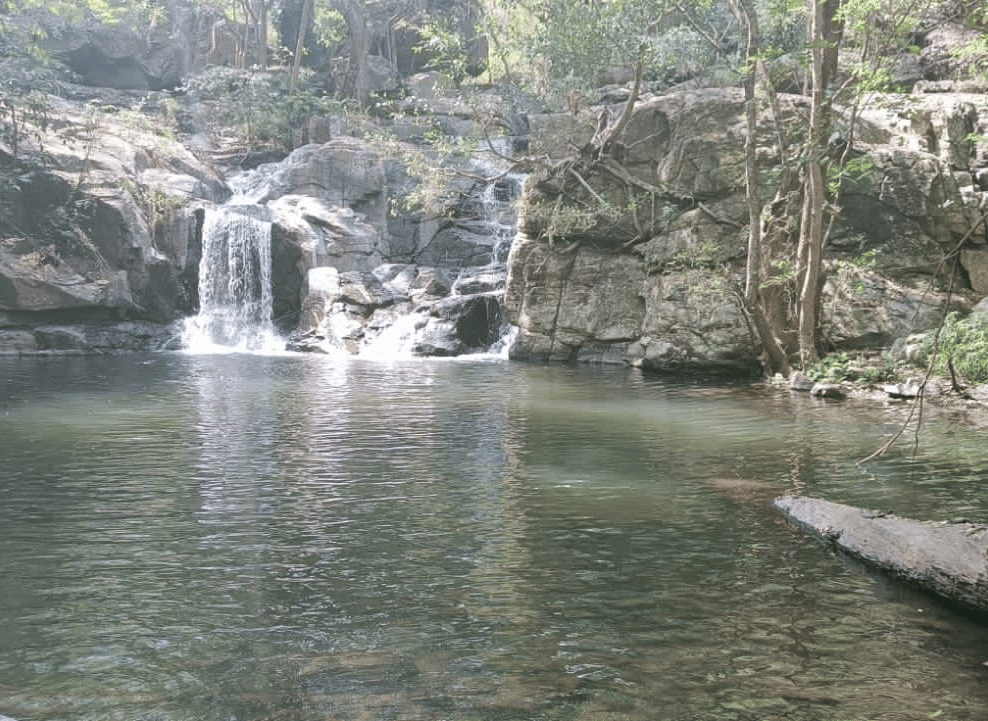 DNC Shevaroys waterfall trek