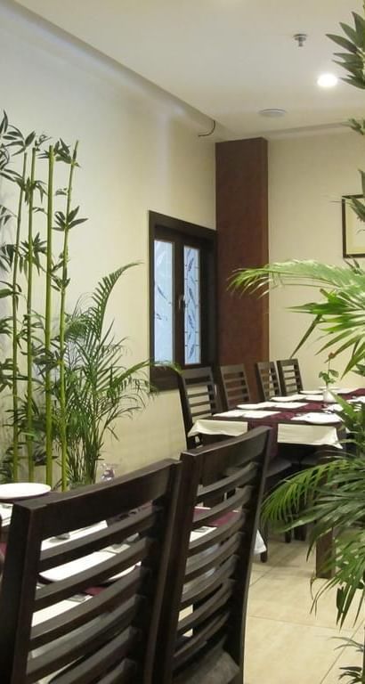 A clean and orderly restaurant interior featuring bamboo and palm plants, with set tables awaiting guests - TGI Apple Inn, Jaipur 